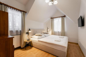 Vila Vyšehrad, Luhacovice